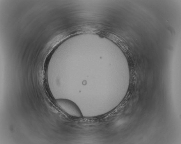 X0000112000338200908311118