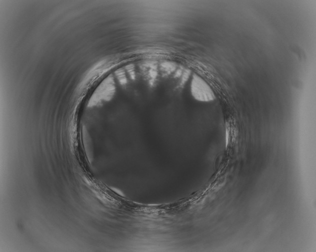 X0000112000339200908311118