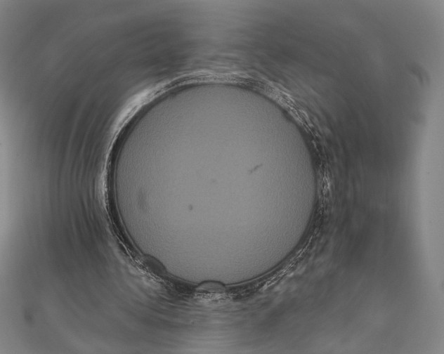 X0000112000340200908311118