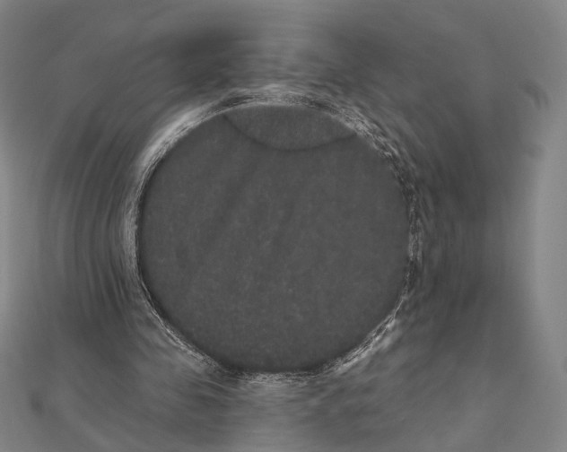 X0000112000341200908311118