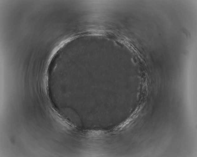 X0000112000342200908311118