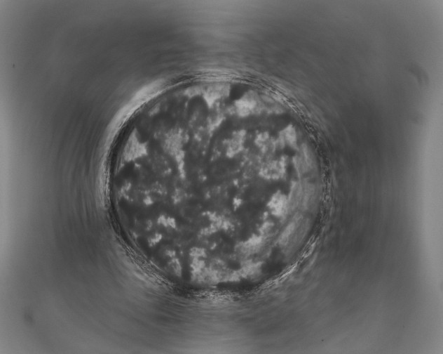 X0000112000343200908311118