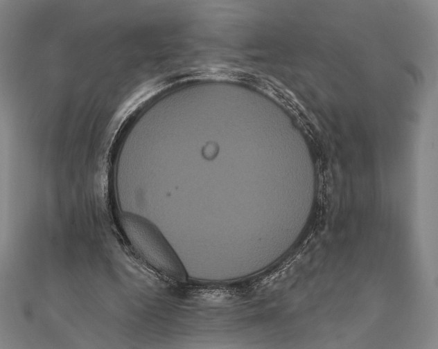 X0000112000344200908311118