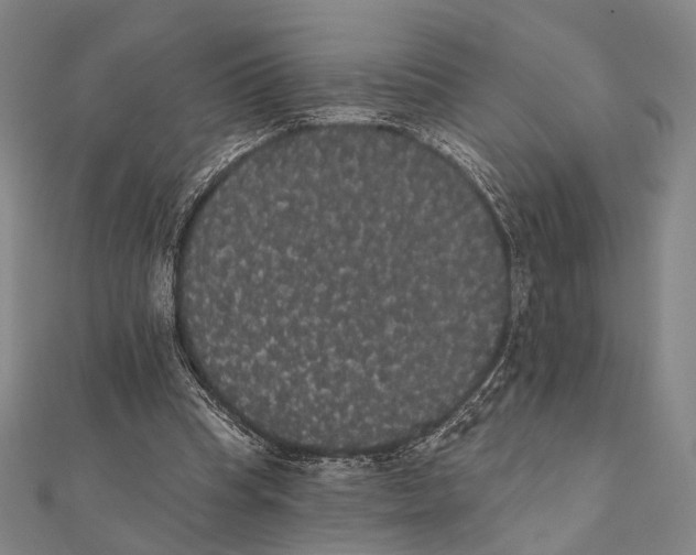 X0000112000345200908311119