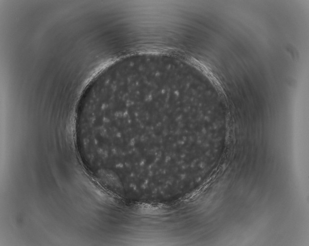 X0000112000346200908311119