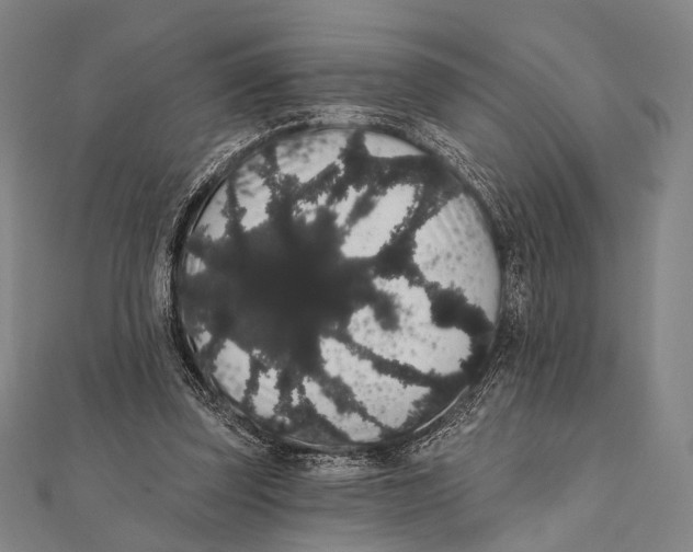 X0000112000347200908311119