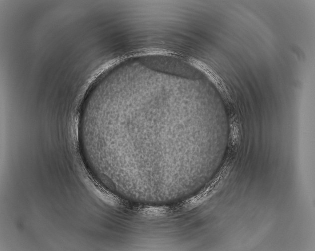 X0000112000350200908311119