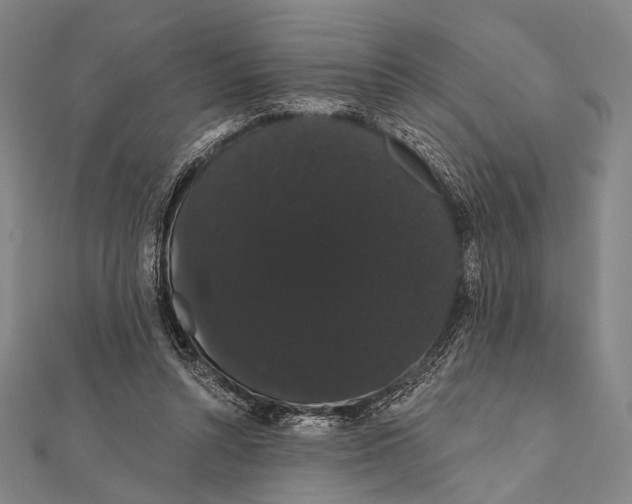 X0000112000352200908311119