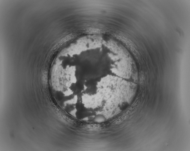 X0000112000353200908311119