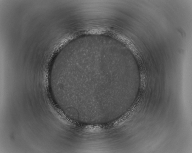 X0000112000354200908311119