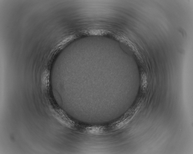 X0000112000356200908311119