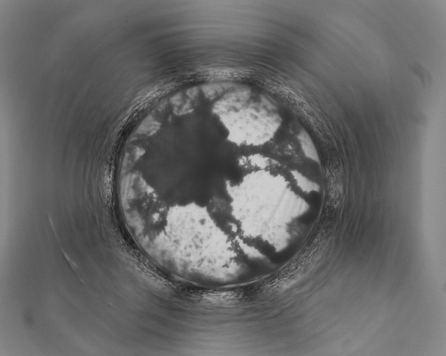 X0000112000357200908311119