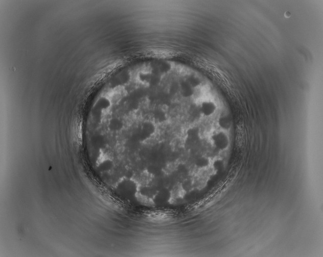 X0000112000358200908311119