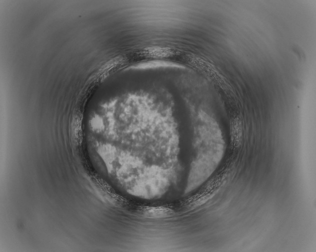 X0000112000360200908311119