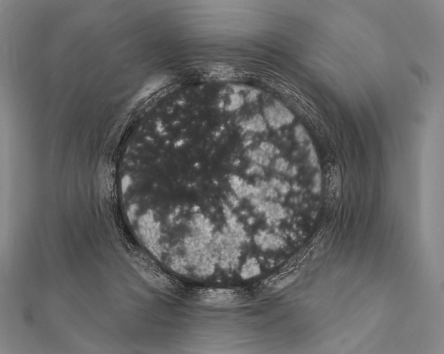 X0000112000361200908311119