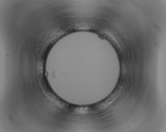 X0000112000362200908311119