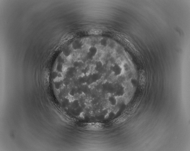 X0000112000363200908311119