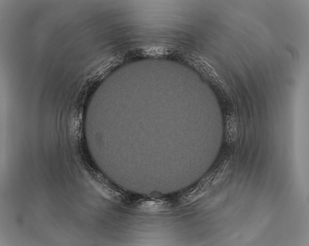 X0000112000364200908311119