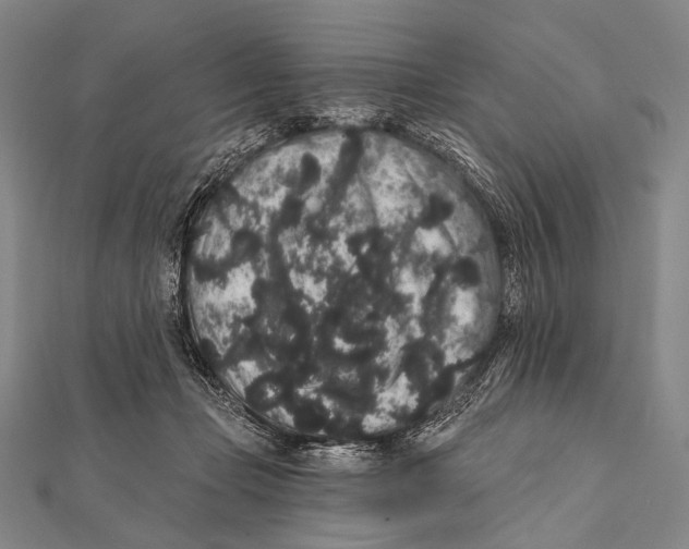 X0000112000365200908311119