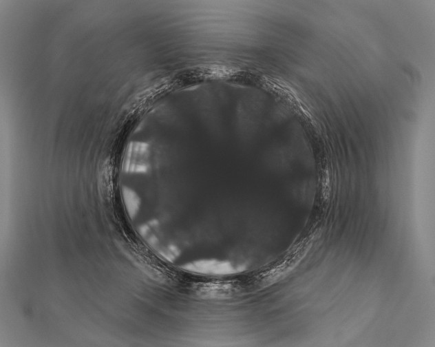 X0000112000366200908311119