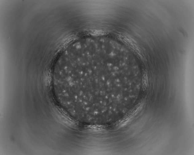 X0000112000367200908311119