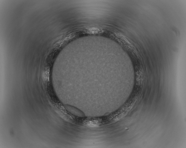 X0000112000368200908311119