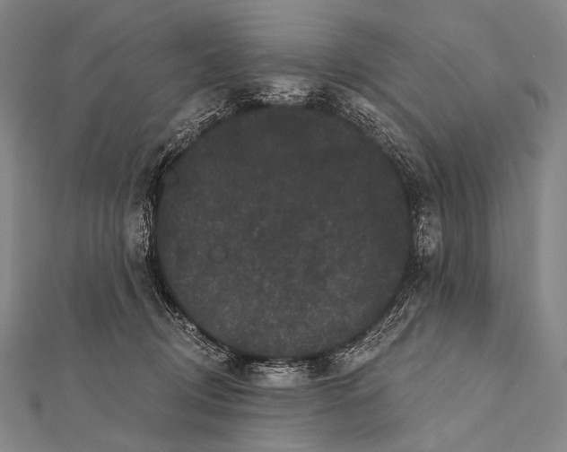 X0000112000370200908311119