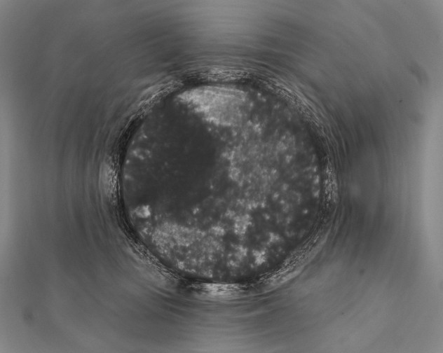 X0000112000371200908311119