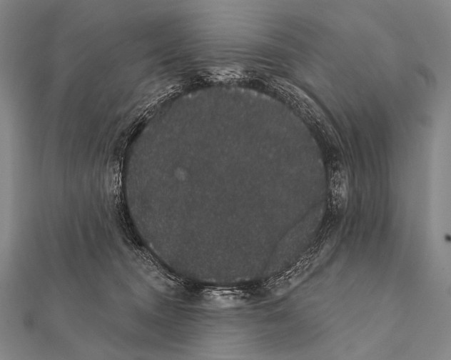 X0000112000372200908311119