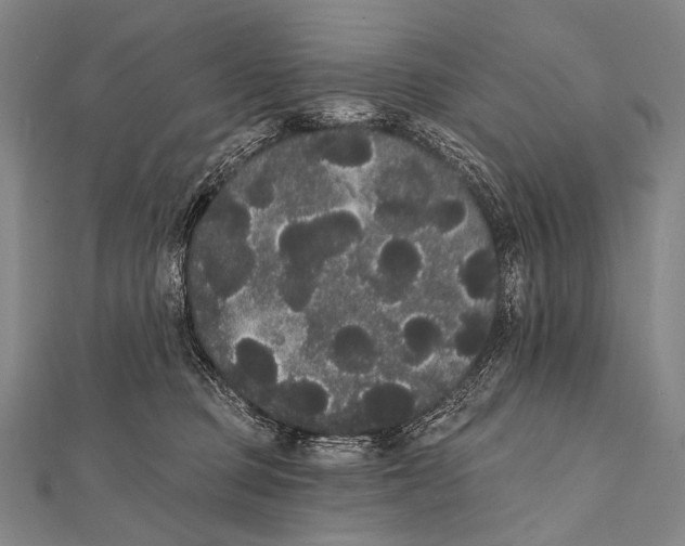 X0000112000373200908311119