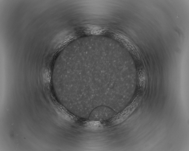 X0000112000374200908311119