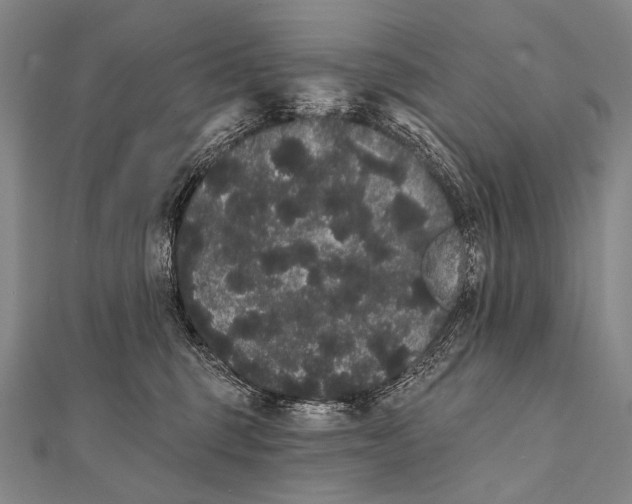 X0000112000375200908311119