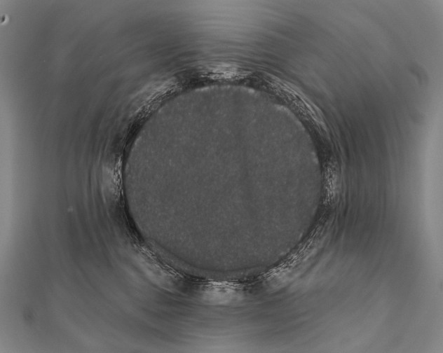 X0000112000376200908311119