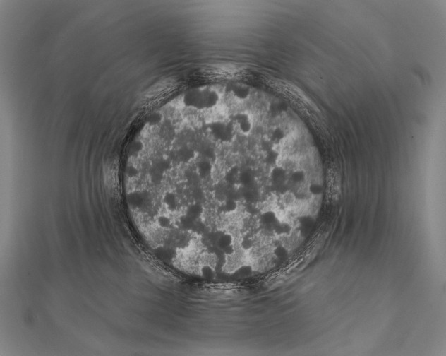 X0000112000377200908311119