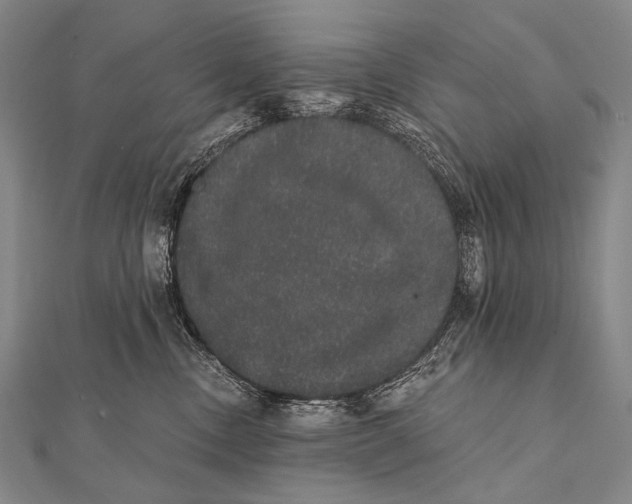 X0000112000378200908311119