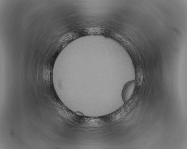 X0000112000379200908311119