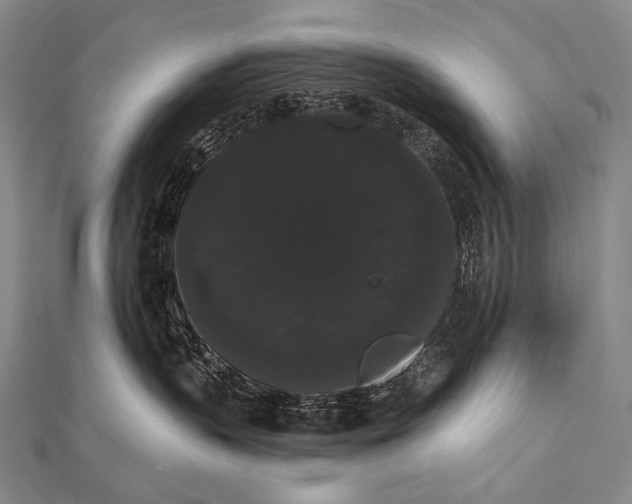 X0000112000383200908311119