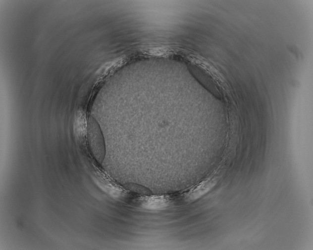 X0000112000384200908311119