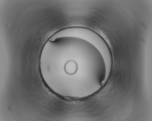 X0000112000385200908311118