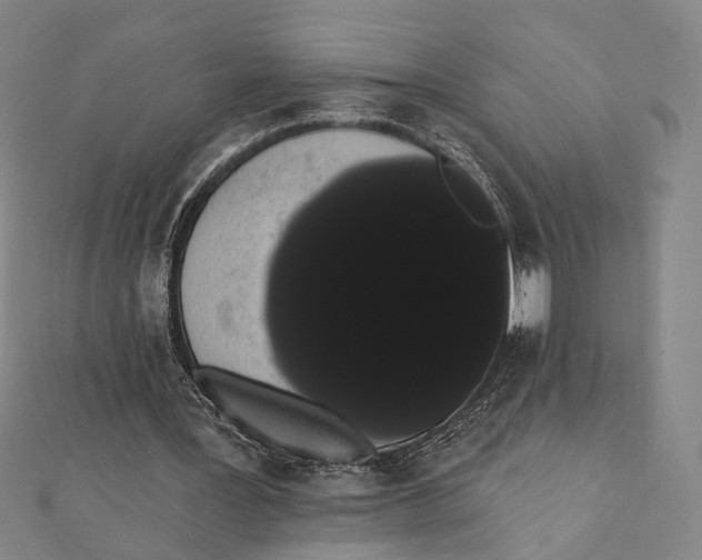 X0000112000387200908311118