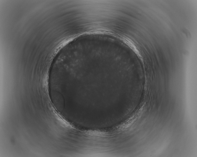 X0000112000389200908311118