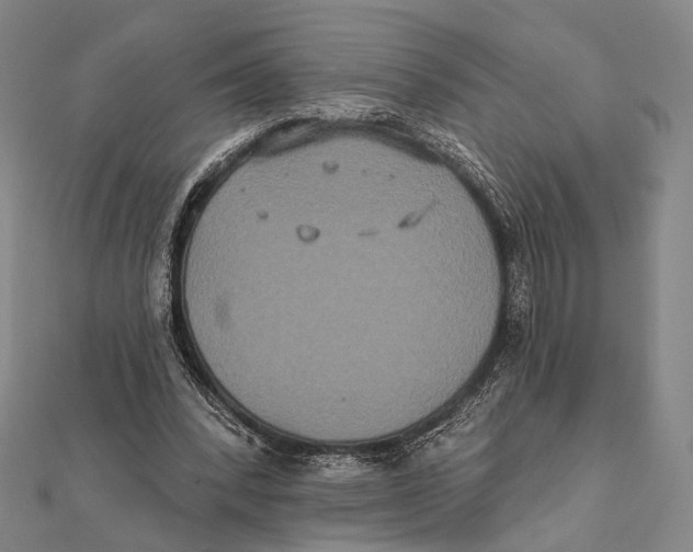 X0000112000392200908311118