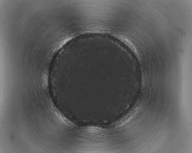 X0000112000393200908311118