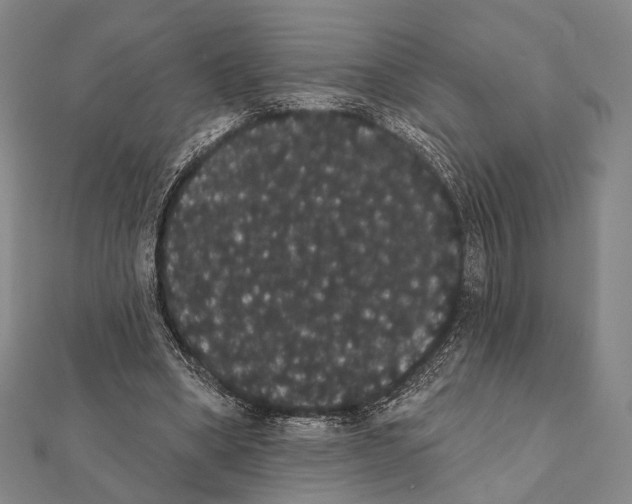 X0000112000394200908311118