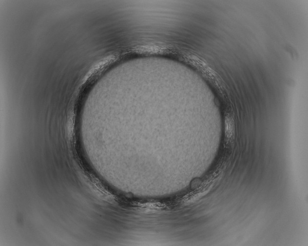 X0000112000396200908311118