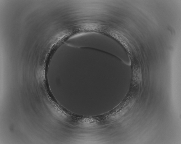 X0000112000399200908311118