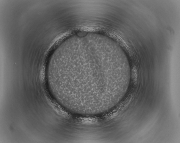 X0000112000400200908311118