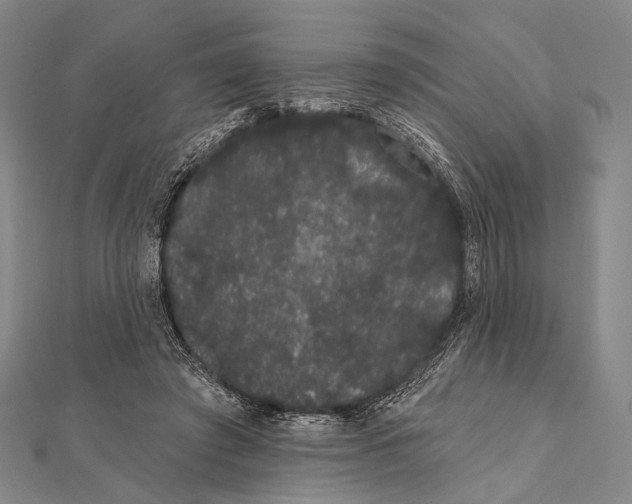 X0000112000401200908311118