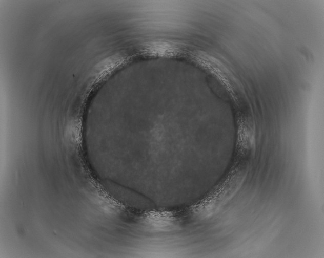 X0000112000403200908311118