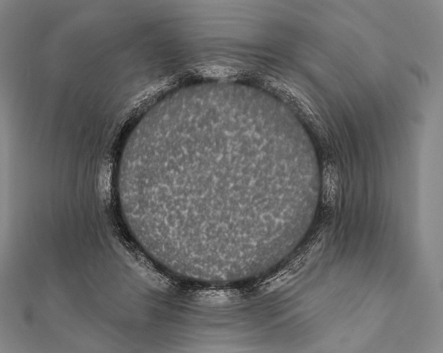 X0000112000404200908311118